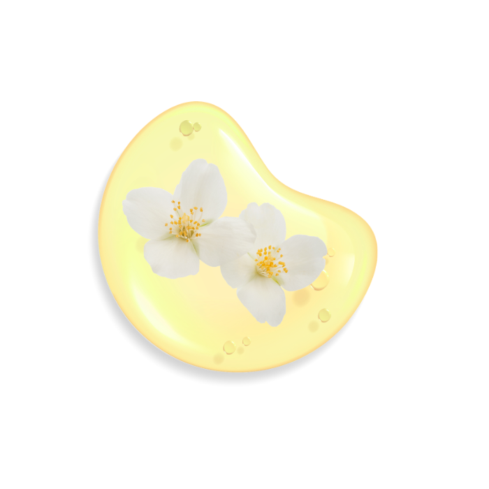 Jasmine Extract