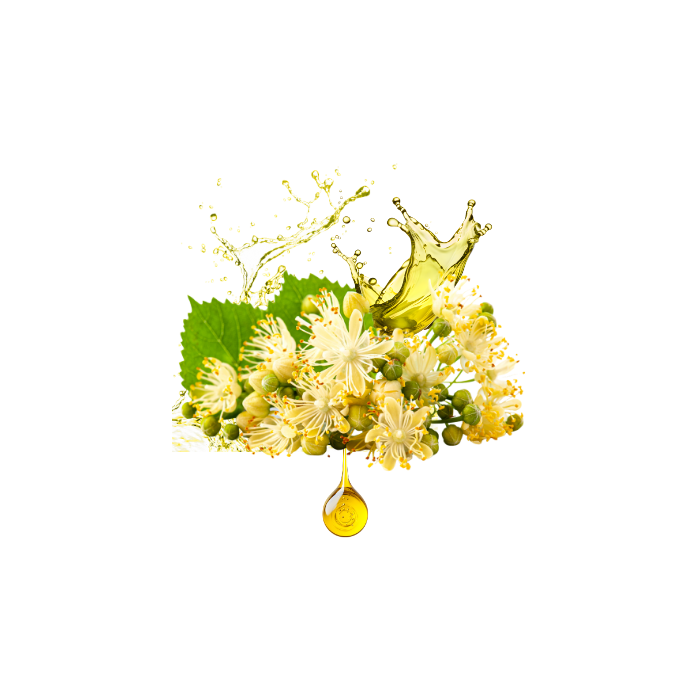 Linden Flower Extract