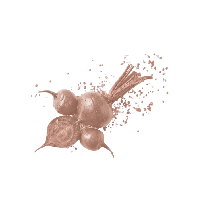 Radish Root Ferment